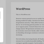 Custom Scrollbar – WordPress Plugin